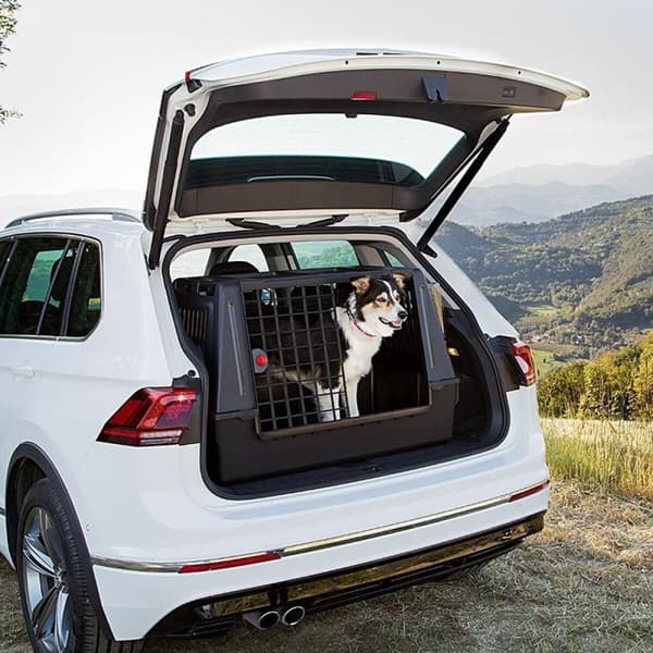 Transporter Ferplast Atlas Car Scenic 100 Svart 60 x 60 x 100 cm Plast