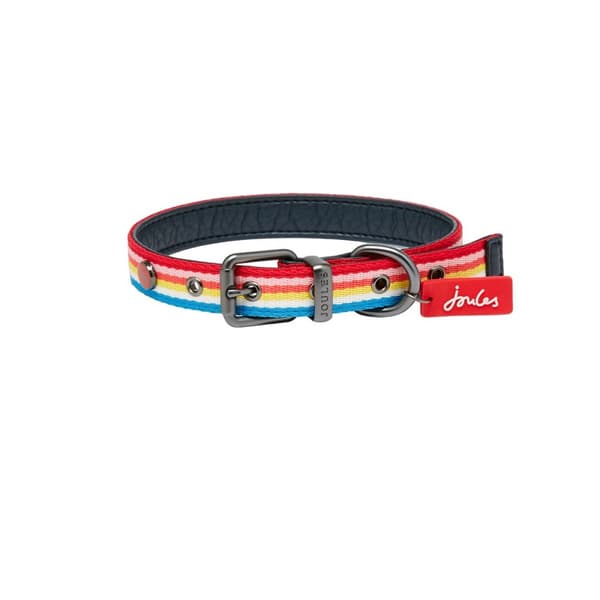 Joules Regnbågsrandigt hundhalsband Multicoloured S-41cm