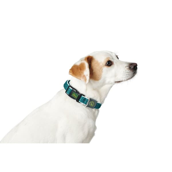 Hundhalsband Hunter Turkos 12