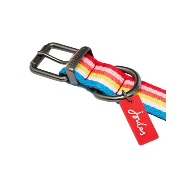 Joules Rainbow Striped Dog Collar