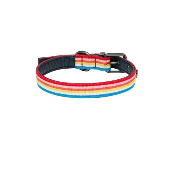 Joules Rainbow Striped Dog Collar