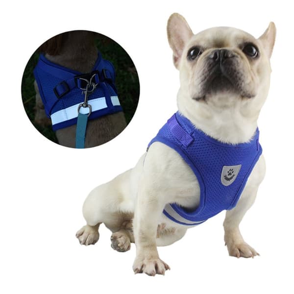 Reflekterende hundesele til små mellemstore hunde - Sort/S