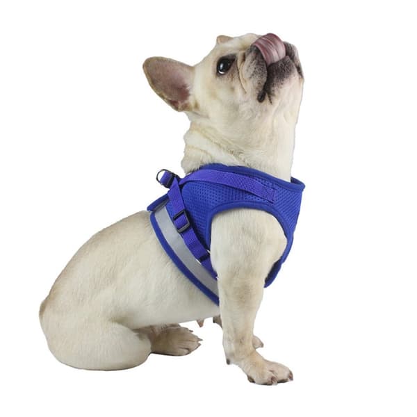 Reflekterende hundesele for liten middels hund - svart/XL