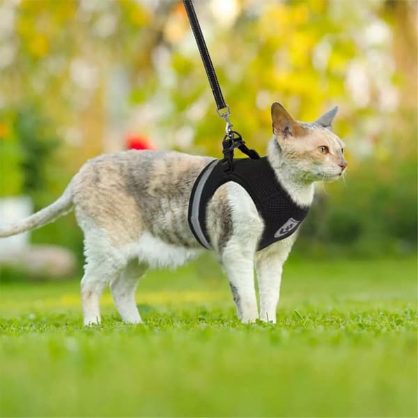 Reflekterende hundesele for liten middels hund - svart/XL