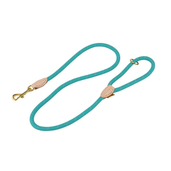 Digby & Fox Reflective Leather Dog Lead Teal One Size