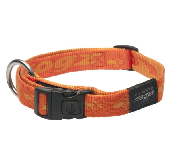 Alpinist stort 20mm K2 hundehalsbånd, oransje design, Rogz