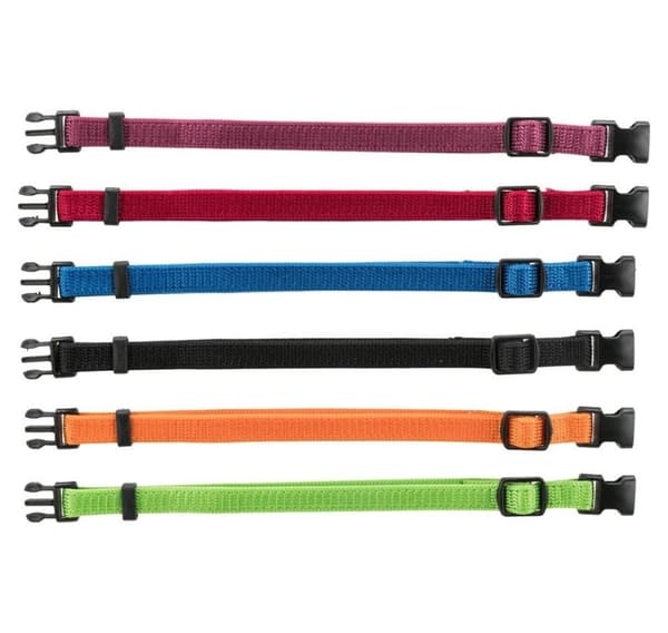 Junior sæt hvalpehalsbånd, m–l: 22–35 cm/10 mm, sort, rød, kongeblå, æble, papaya, orkidé, Trixie