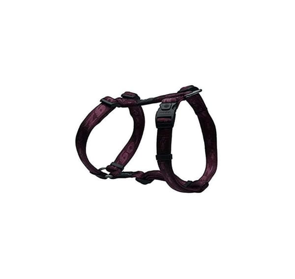 Sele h everest xl 25mm/60-100cm lila, Rogz