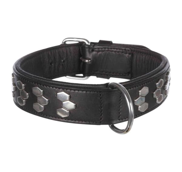 Aktiv krave med nitter, XL: 65–75 cm/40 mm, sort