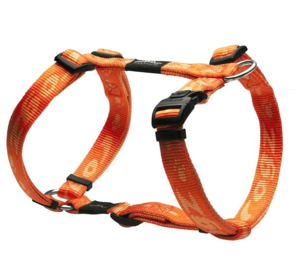 Sele K2 20mm-3/4 orange