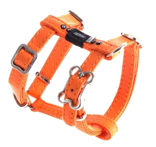 Sele H Luna XS 11mm oransje
