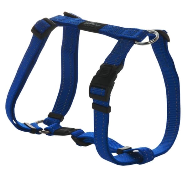 Sele H Fanbelt 20mm-3/4 blå