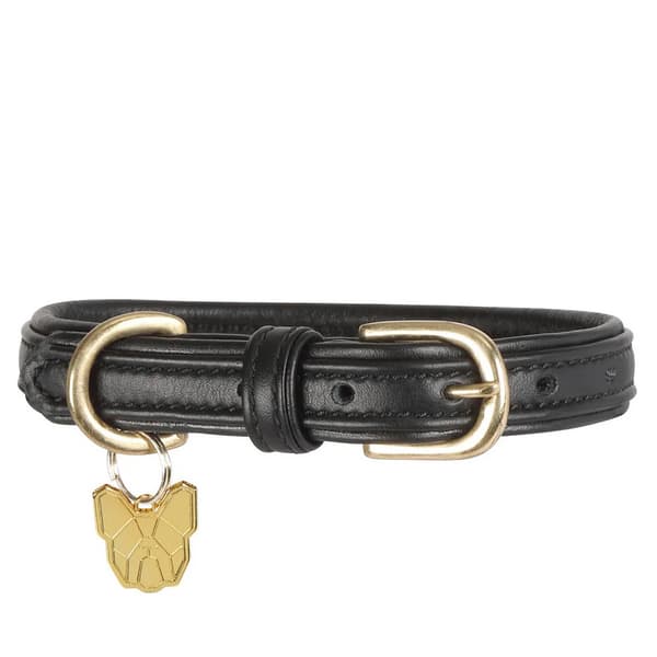 Digby & Fox Leather Padded Dog Collar