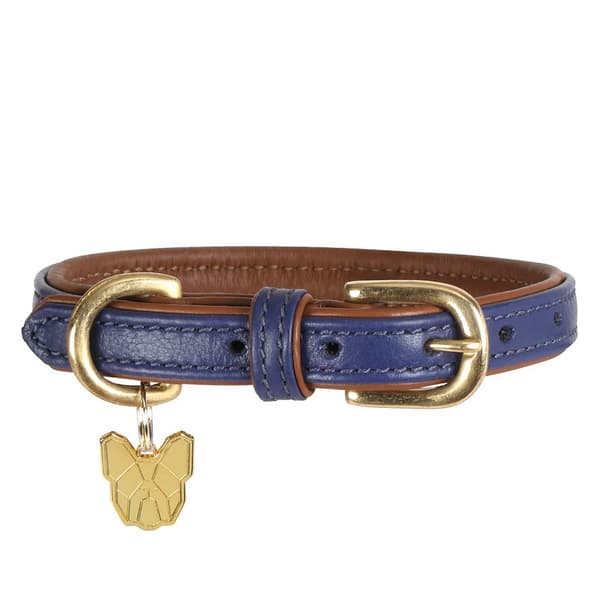Digby & Fox Leather Padded Dog Collar