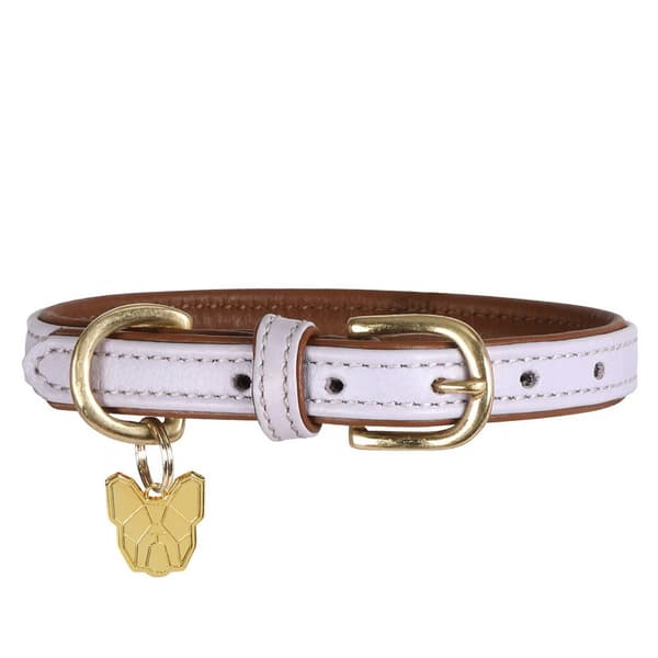 Digby & Fox Leather Padded Dog Collar