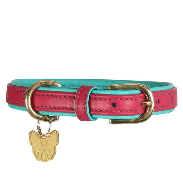 Digby & Fox Leather Padded Dog Collar