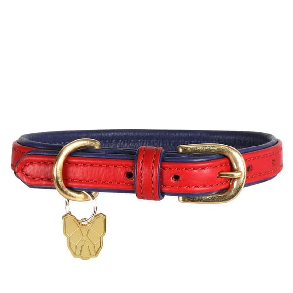 Digby & Fox Leather Padded Dog Collar