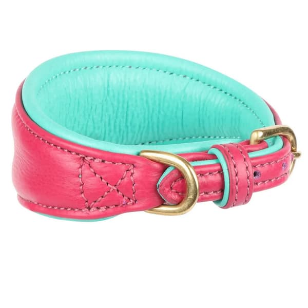 Digby & Fox Vadderat Greyhound hundhalsband i läder