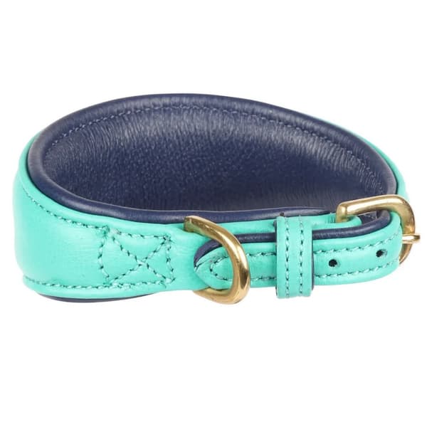 Digby & Fox Vadderat Greyhound hundhalsband i läder