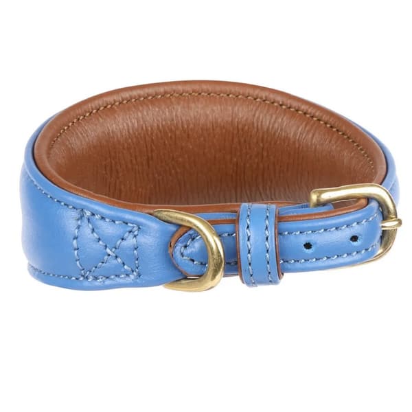 Digby & Fox Vadderat Greyhound hundhalsband i läder Royal Blue S - Neckline: 25cm-28cm