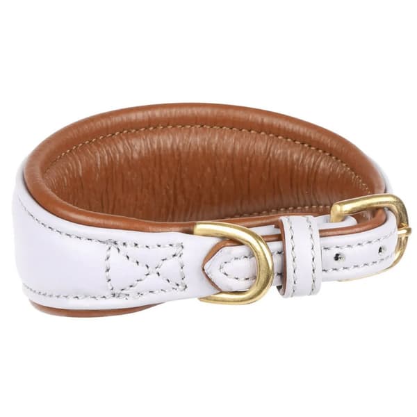 Digby & Fox Vadderat Greyhound hundhalsband i läder
