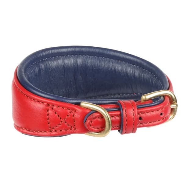 Digby & Fox Vadderat Greyhound hundhalsband i läder