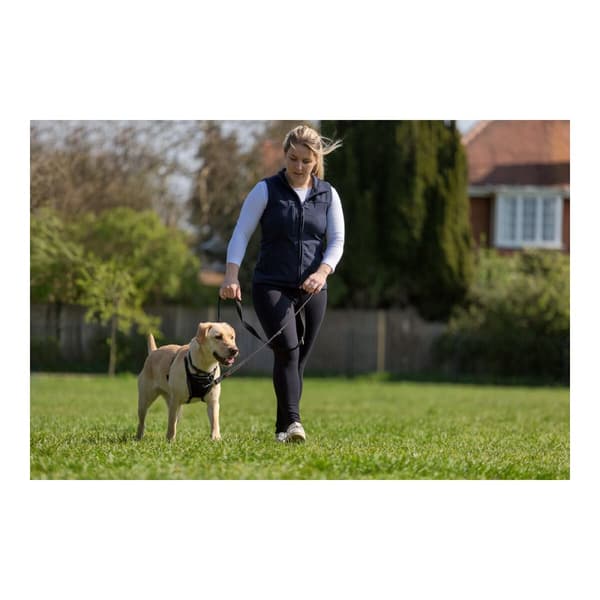 Hundsele Company of Animals Halti Storlek S (26-36 cm)
