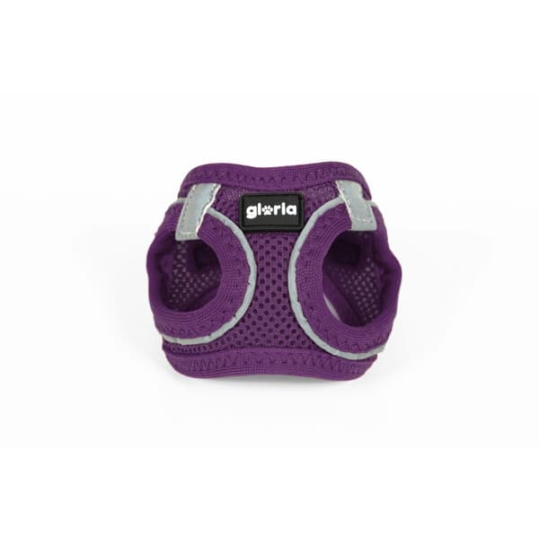 Hundsele Gloria Trek Star 24-26 cm 28-28,6 cm Purpur XXS