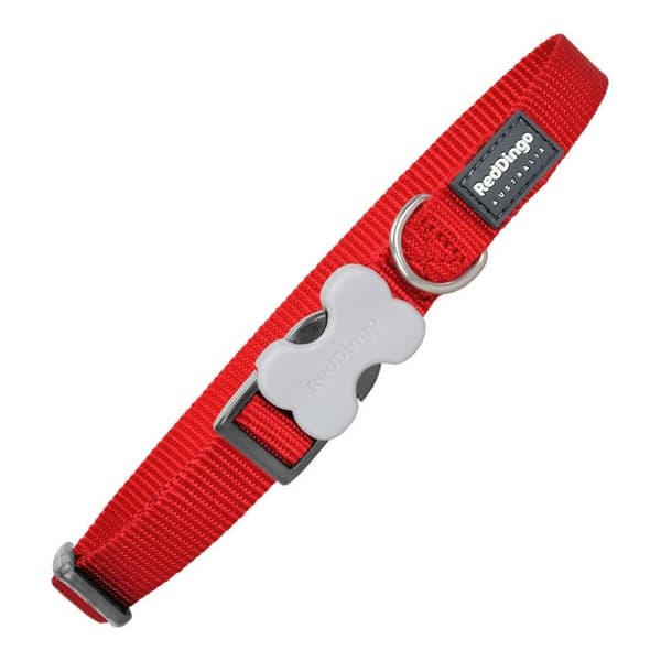 Hundhalsband Red Dingo Slät Röd (1,5 x 24-36 cm)
