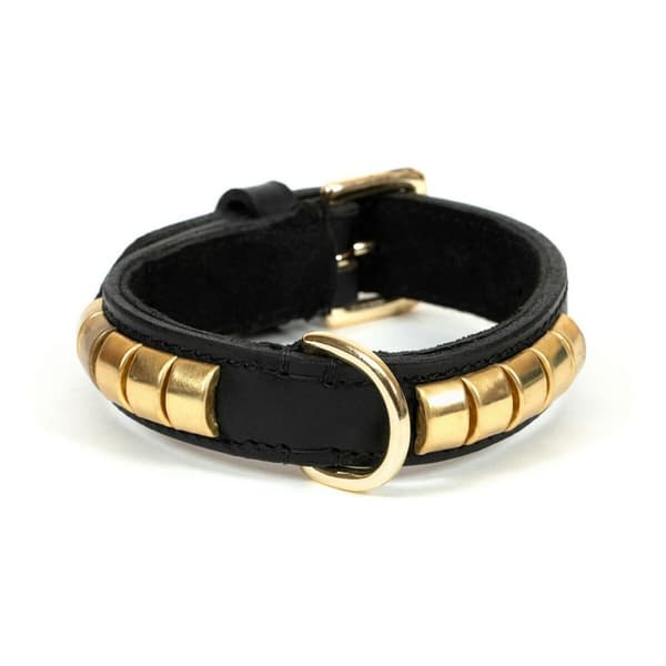 Hundhalsband Gloria Duna Svart Gyllene (60 x 2.5 cm)
