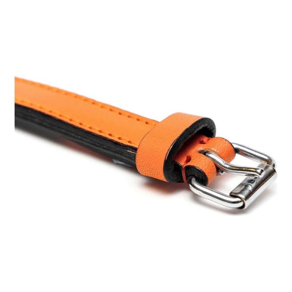 Hundhalsband Gloria Vadderad Orange (35 x 1,5 cm)