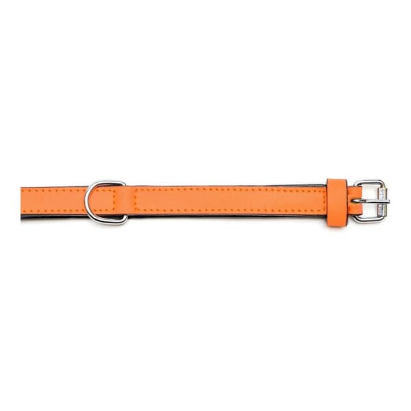Hundhalsband Gloria Vadderad Orange (35 x 1,5 cm)