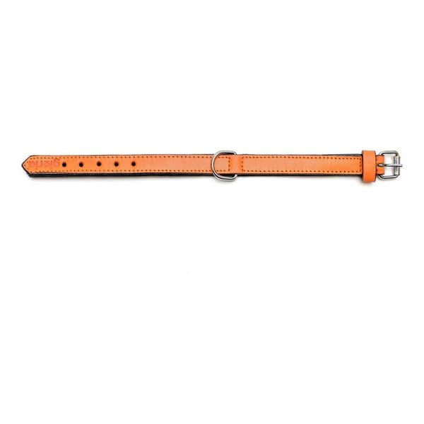 Hundhalsband Gloria Vadderad Orange (35 x 1,5 cm)
