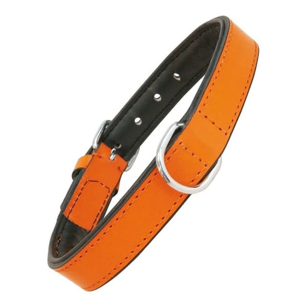 Hundhalsband Gloria Vadderad Orange (35 x 1,5 cm)