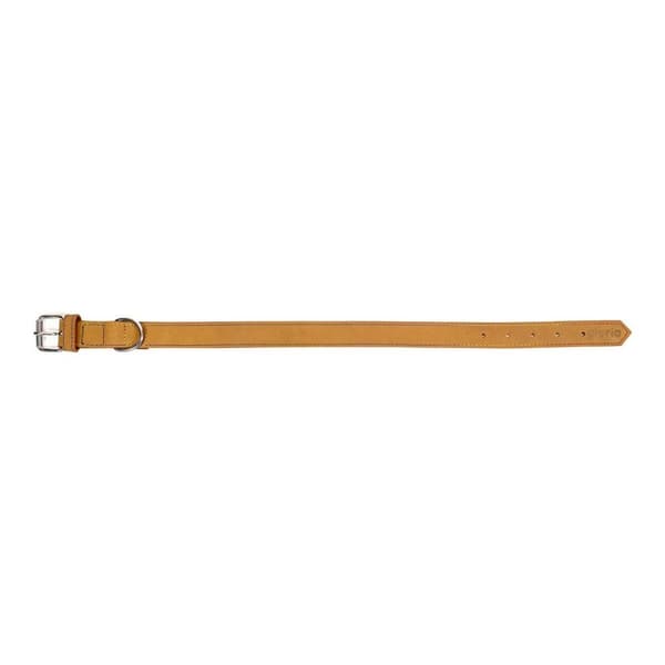 Hundhalsband Gloria Oasis Gul (70 x 3 cm)