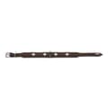 Miniatyrbild 5 av 5: Hundhalsband Hunter Swiss Negro, marrón (24-28.5 cm)
