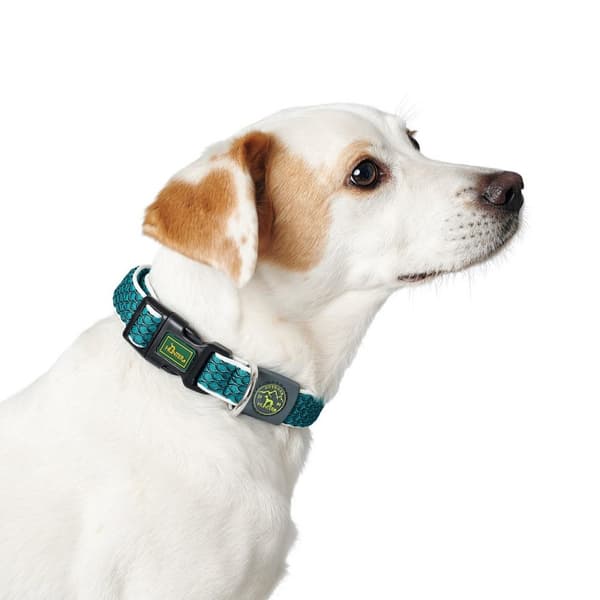 Hundhalsband Hunter Vario Basic Trådar Turkos 20