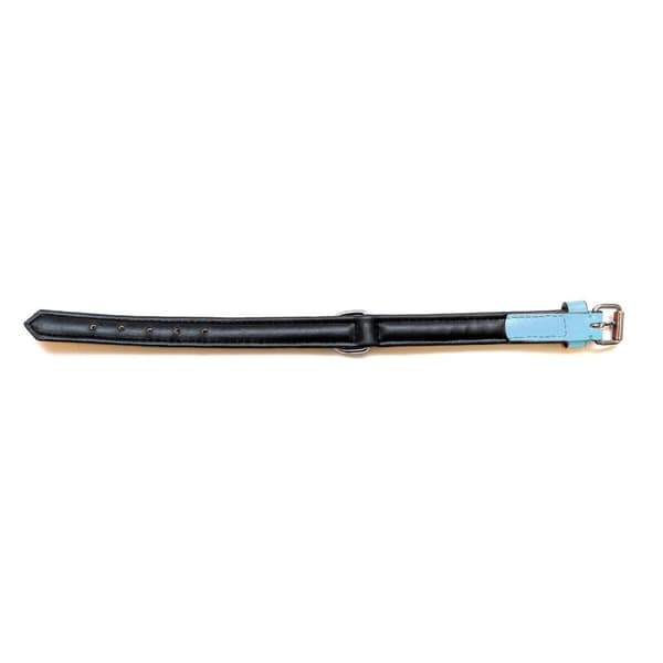 Hundhalsband Gloria 30 cm Vadderad Läder Blå
