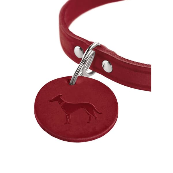 Hundhalsband Hunter Aalborg Röd XS/S 28-33 cm