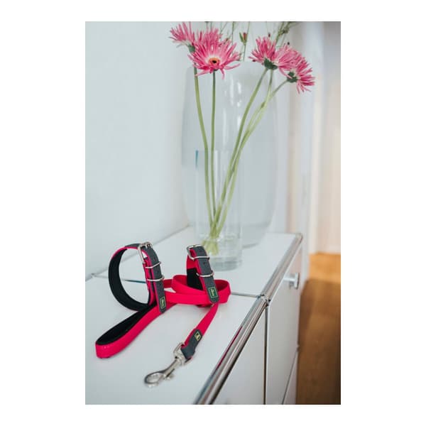 DoHundkoppel Hunter CONVENIENCE 2 x 120 cm Rosa