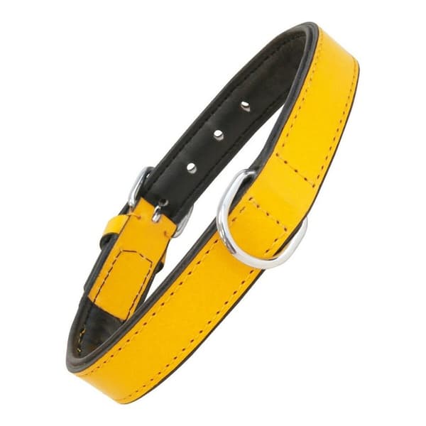 Hundhalsband Gloria Vadderad Gul (55 x 2,5 cm)