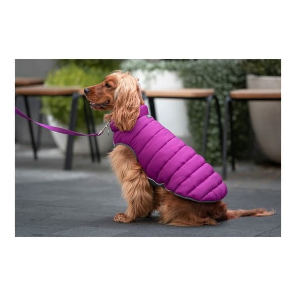 Hundefrakke Red Dingo Puffer Pink/Lilla 35 cm