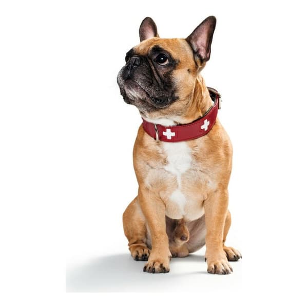 Hundehalsbånd Hunter Swiss Rød/Sort (24-28.5 cm)