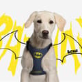 Miniatyrbillede 9 af 11: Hundesele Batman XXS/XS Blå