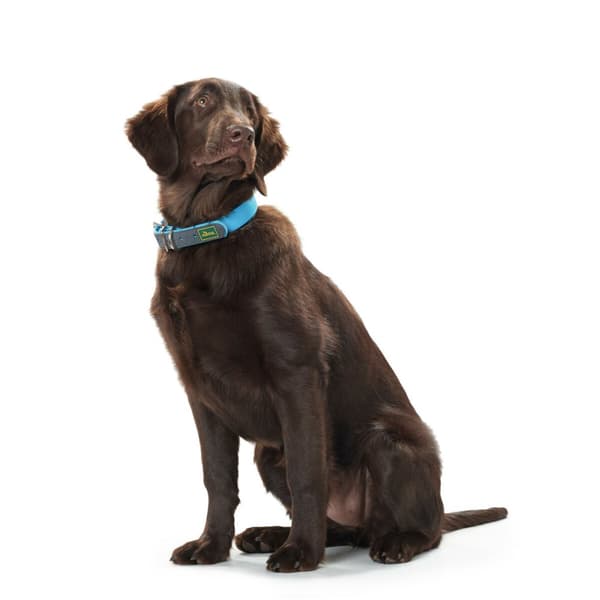 Hundehalsbånd Hunter Convenience 47-55 cm L Turkisblå