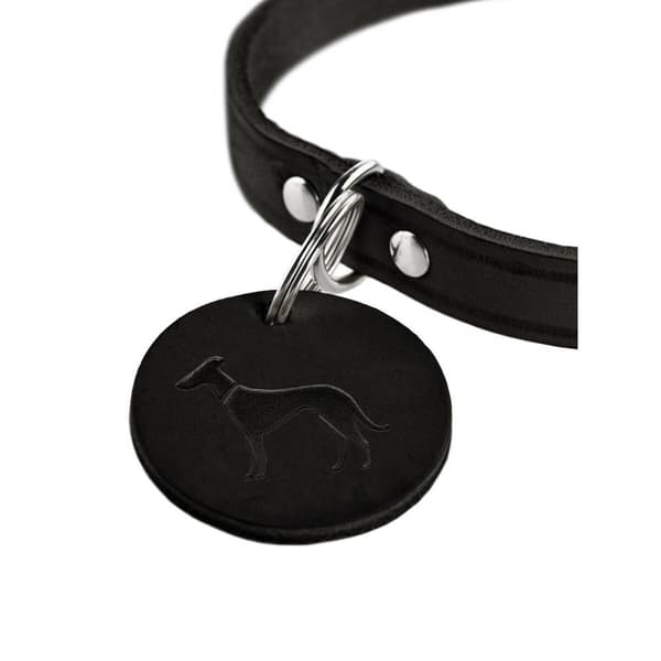 Hundehalsbånd Hunter Aalborg Sort L 45-55 cm