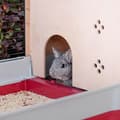 Pikkukuva 10 / 11: Häkki Ferplast Krolik 140 Plus Metalli Muovinen 142 x 50 x 60 cm