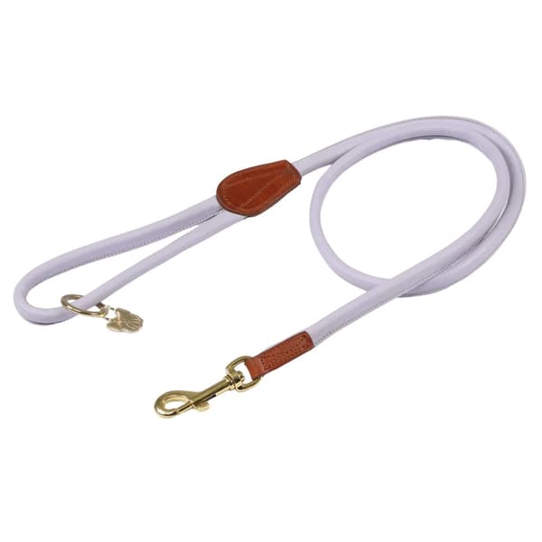 Digby & Fox Rullat läder hundlina
