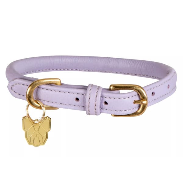 Digby & Fox Rolled Leather Buckle Dog Collar