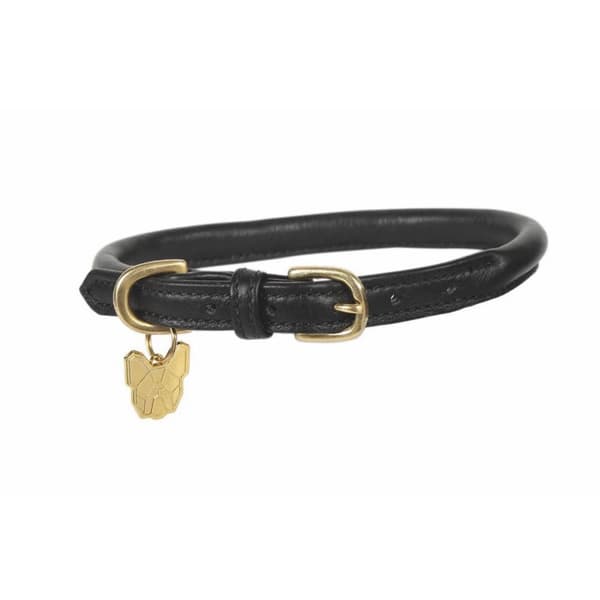 Digby & Fox Rolled Leather Buckle Dog Collar